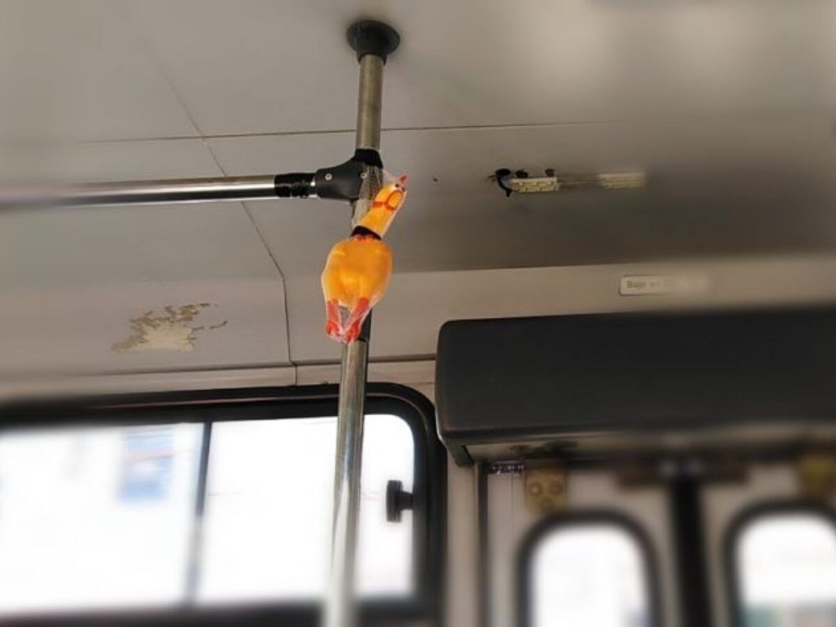 Un pollo de plástico es el timbre en transporte público de Puebla | MTPNoticias