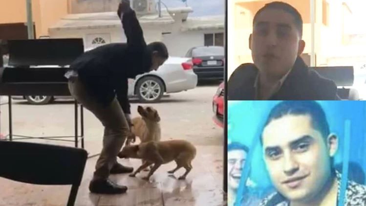 Este Hombre Que Apuñaló Cruelmente A Un Perro Podría Pasar Hasta 6 Años En Prisión 8264