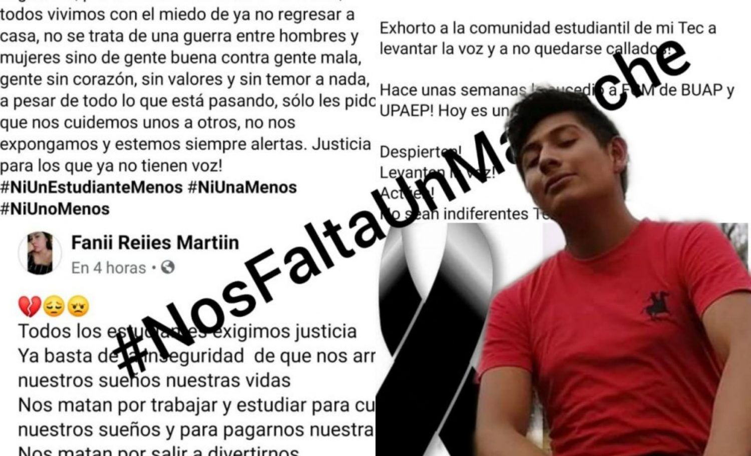 NosFaltaUnMapache: estudiantes de Teziutlán