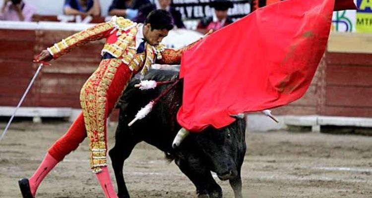 Corrida de toros, busan prohibir la tauromaquia