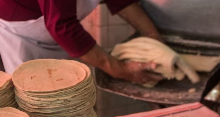 ¿Sabes hacer tortillas? Ofrecen 45 mil pesos por este empleo en Estados Unidos