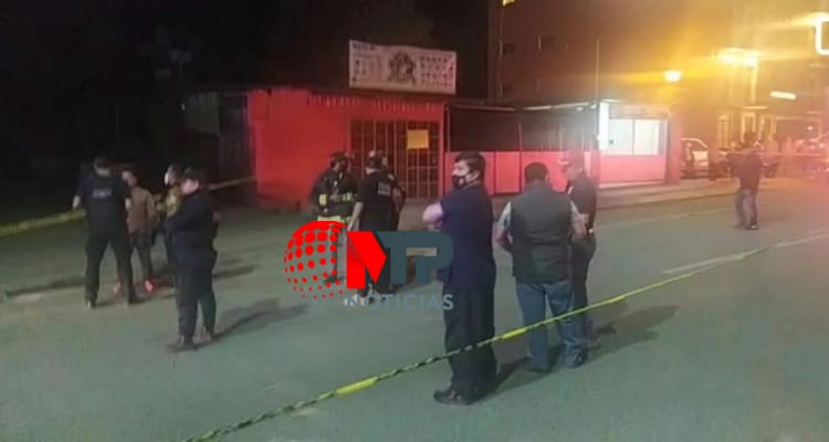 Pitbull mata a hombre en Xicotepec, Puebla