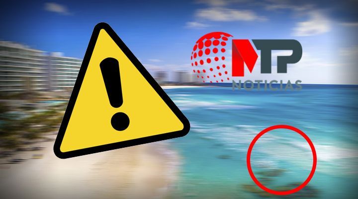 Alerta Sanitaria: la única playa mexicana que no se recomienda visitar en Semana Santa