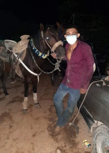 Muere joven de 19 anos tras ser corneado por un toro en Yucatan