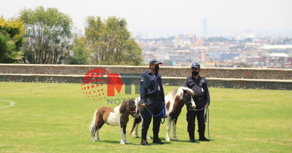 Actividades en Casa Puebla