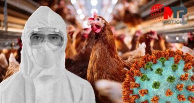 Gripa aviar