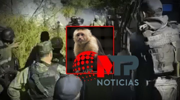 Mono sicario la otra victima del enfrentamiento con grupo armado en Texcaltitlan