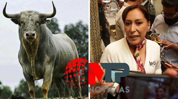 PAN quieren 'proteger' toros pero no a mujeres
