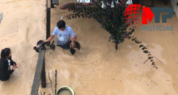 Rio desborda provoca inundaciones 20 casas Teziutlan