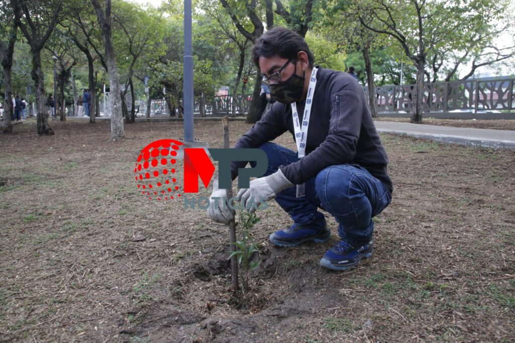 aire-joven-reforestacion-puebla1