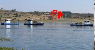 Barcos de Tony Gali Chignahuapan