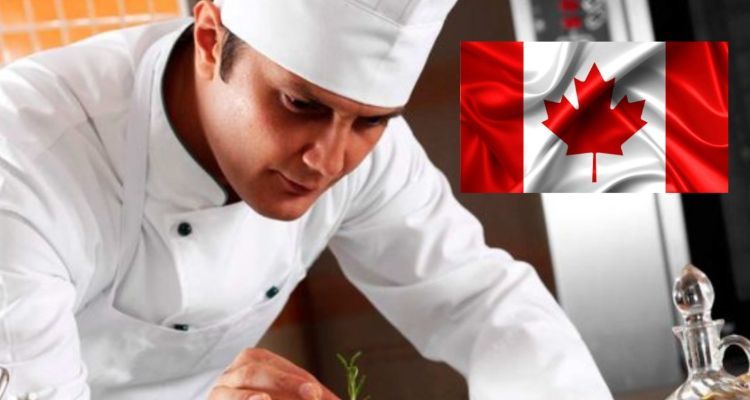 En Canadá buscan a cocineros para trabajar