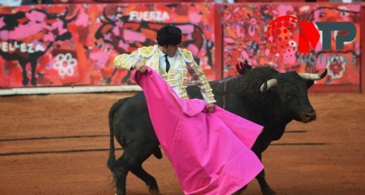Buscan prohibir la tauromaquiea en Puebla
