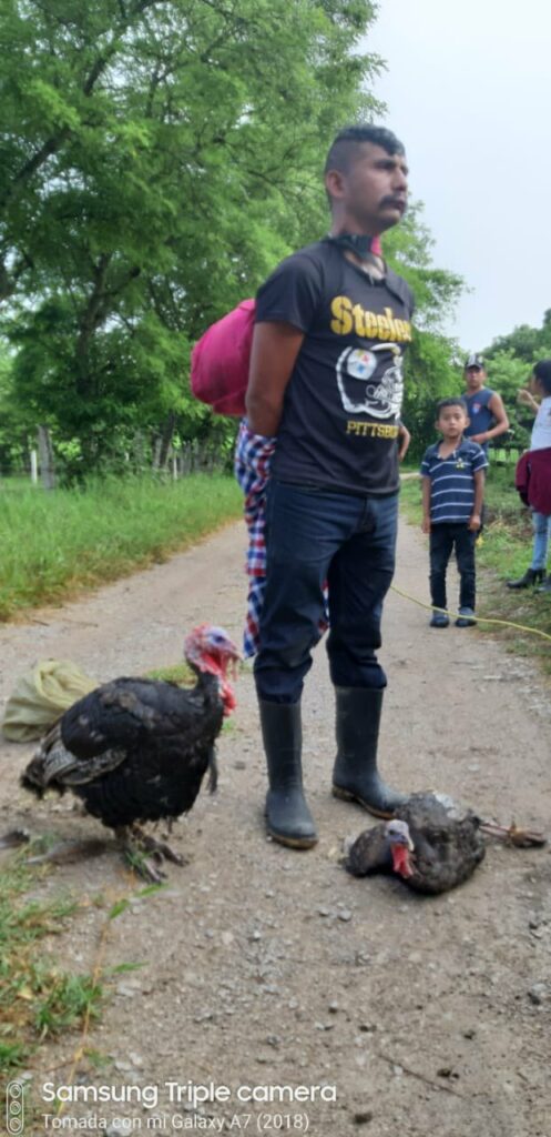 Habitantes de Chiapas 'linchan' a un hombre por robarse dos guajolotes