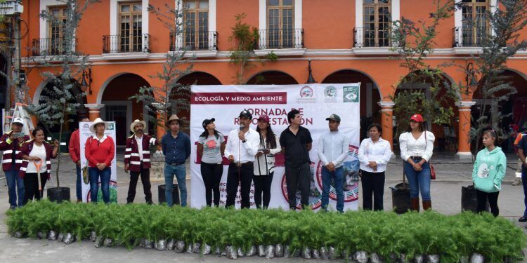 Sembrarán 100 mil árboles en Tlatlauquitepec
