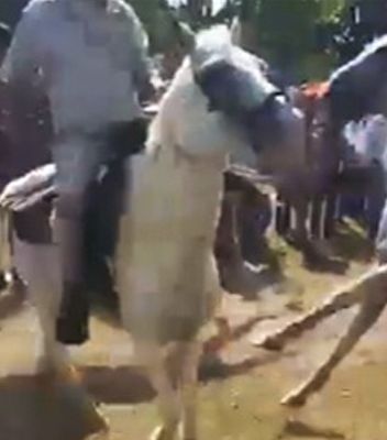Muere un hombre en Tabasco tras brutal choque de caballos