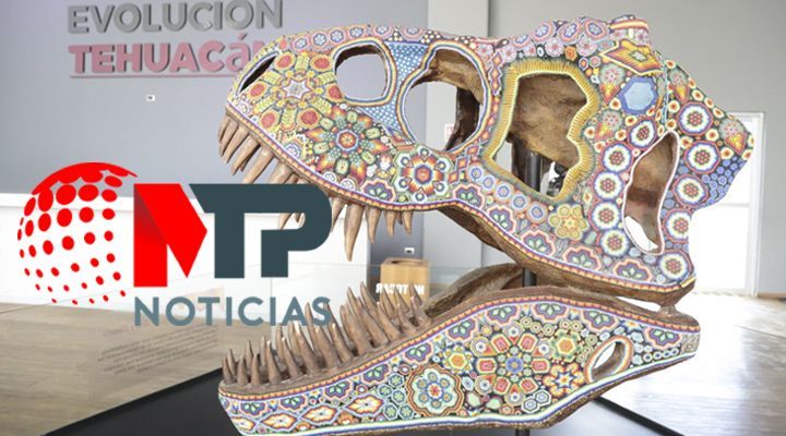 Museo de la Evolucin en Tehuacan: un recorrido por la historia de la humanidad