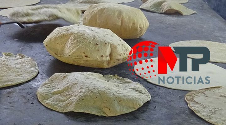 Preven aumento en el precio de la tortilla cuanto costaria en Puebla
