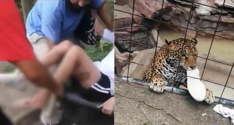 jaguar-ataca-adolescente-guanajuato