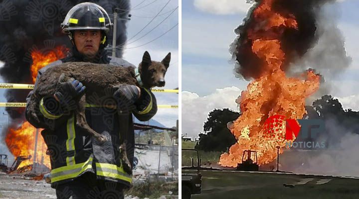 bomberos en Puebla rescataron a perrito tras explosion en Amozoc