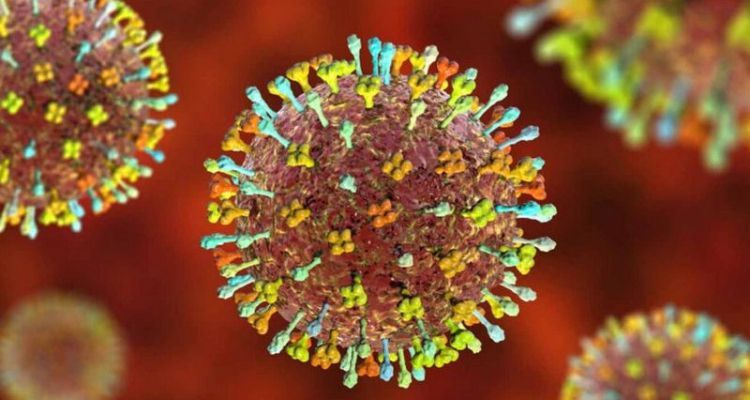 Henipavirus en China