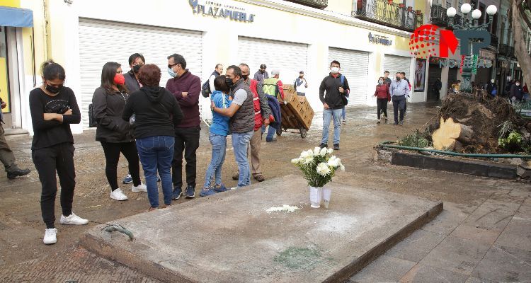Niño Santiago hacía tarea cuando un árbol le causó la muerte en centro de Puebla