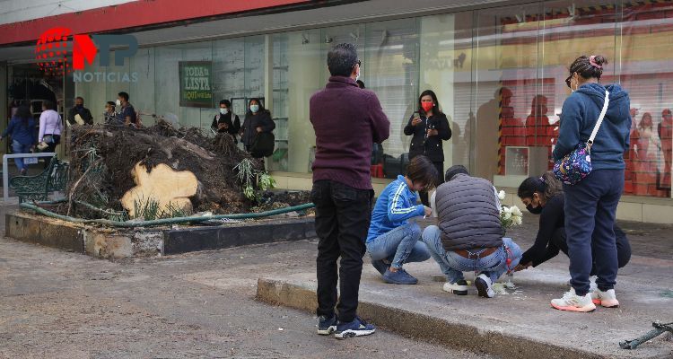 Niño Santiago hacía tarea cuando un árbol le causó la muerte en centro de Puebla