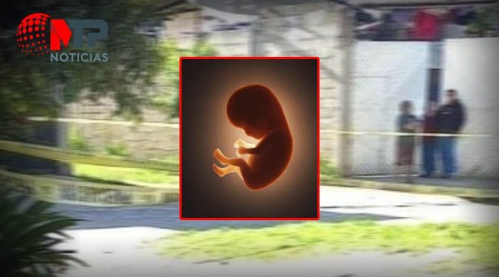 Abandonan cadaver de un feto en Nativitas, Tlaxcala