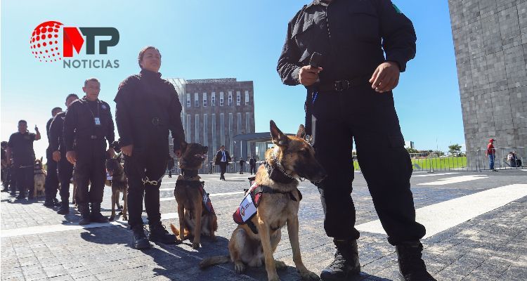 Con perros vigilarán entrada de San Miguel y otros dos penales de Puebla