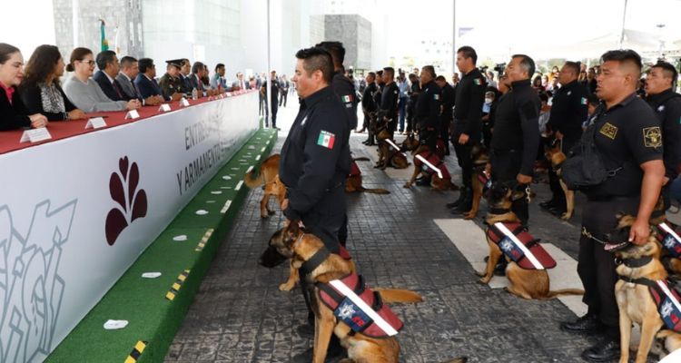 Con perros vigilarán entrada de San Miguel y otros dos penales de Puebla
