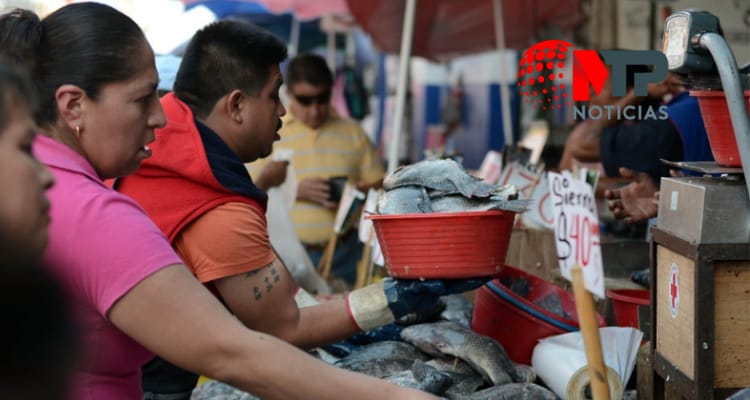Entre ratas venden mariscos en mercado de Puebla - MTP Noticias