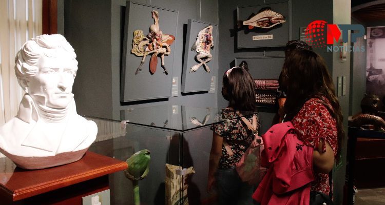 'Noche de Museos' deja derrama económica de 4 MDP en la ciudad de Puebla