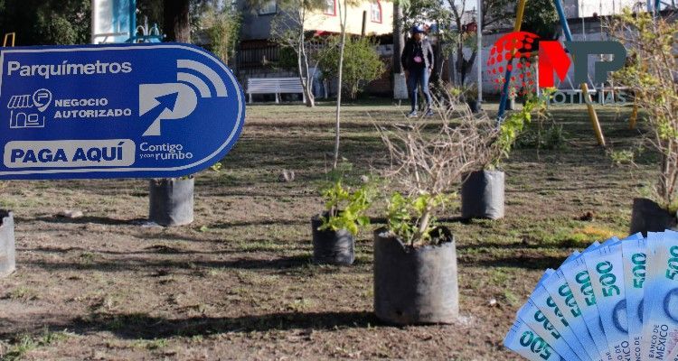 Con remanente de parquímetros plantarán árboles y mejorarán cruces peatonales en Puebl