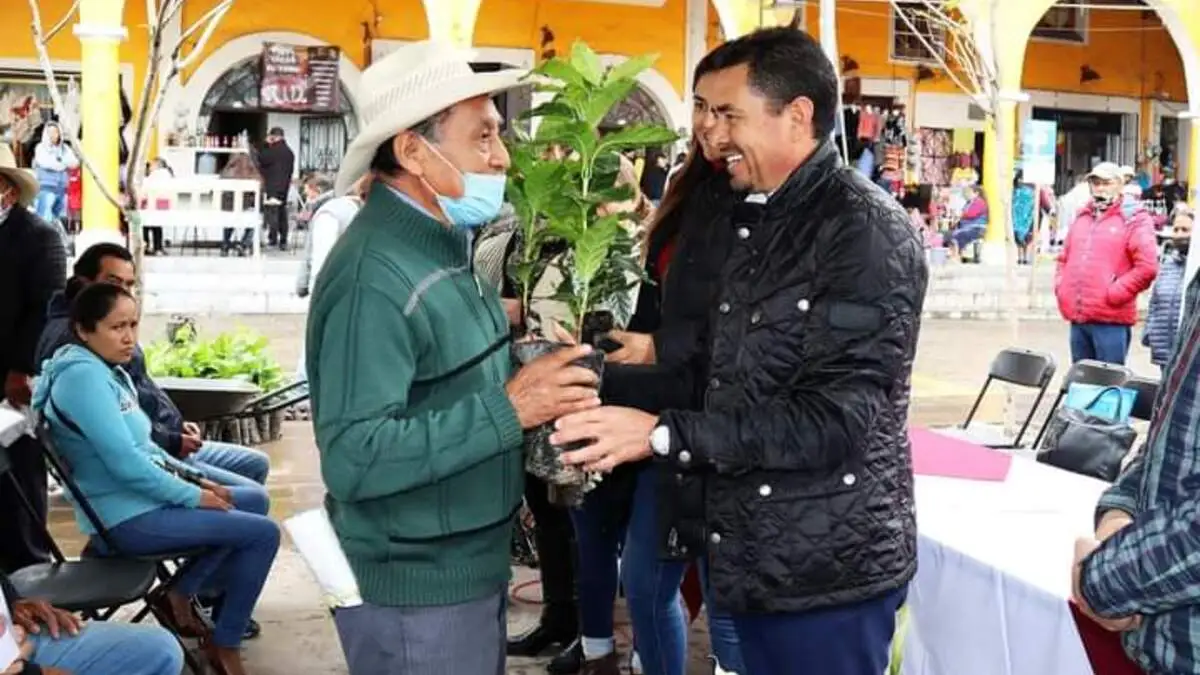 Se reforestarán otras 20 hectáreas en Tlatlauquitepec