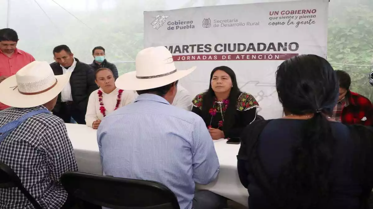 Tras petición en Martes Ciudadano, SDR apoyará a productores de miel de Xochitlán