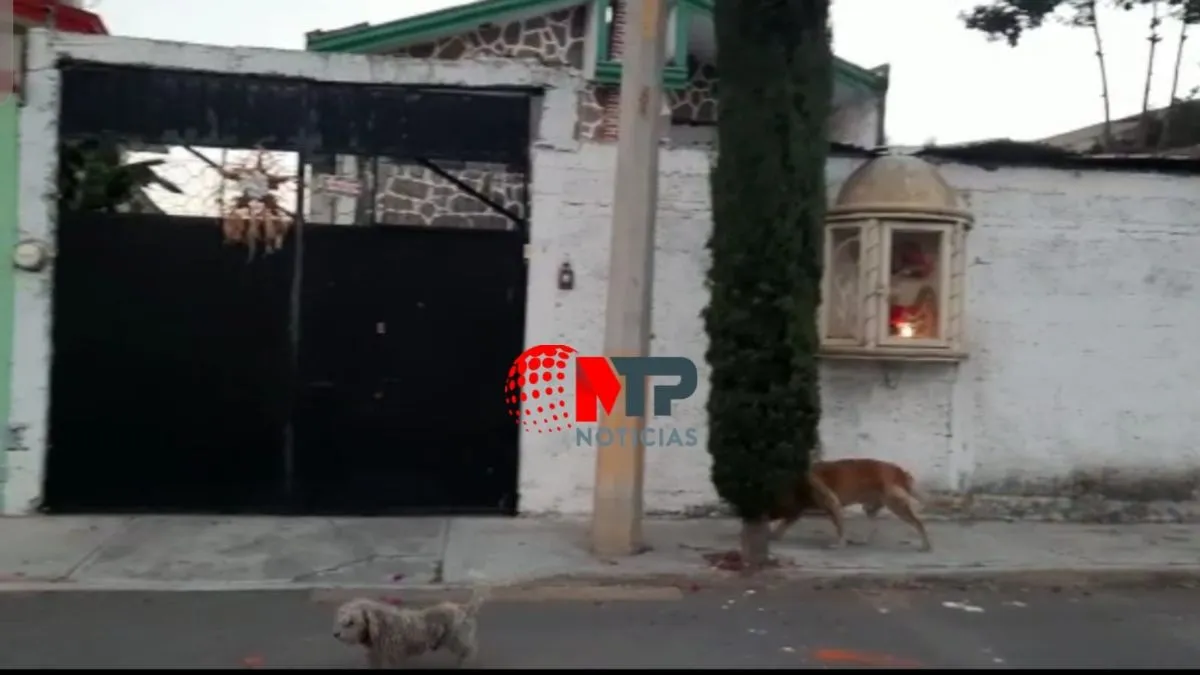 Disparan en la boca a un hombre en asalto a su vivienda en Fuentes de San Aparicio, Puebla