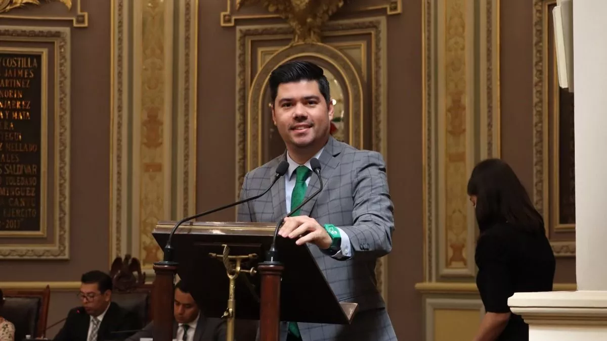 Impulsan en el Congreso, iniciativa a favor del bienestar animal