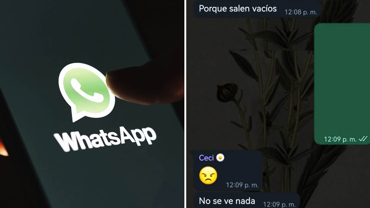 Día De Los Inocentes: La Broma En WhatsApp Este 28 De Diciembre