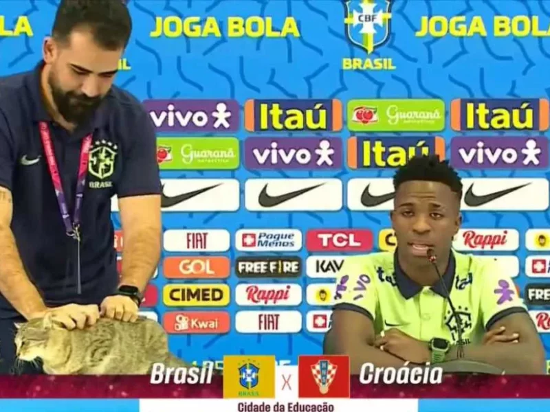 Gato se cuela a sala de prensa de Selección de Brasil y lo lanzan de mesa