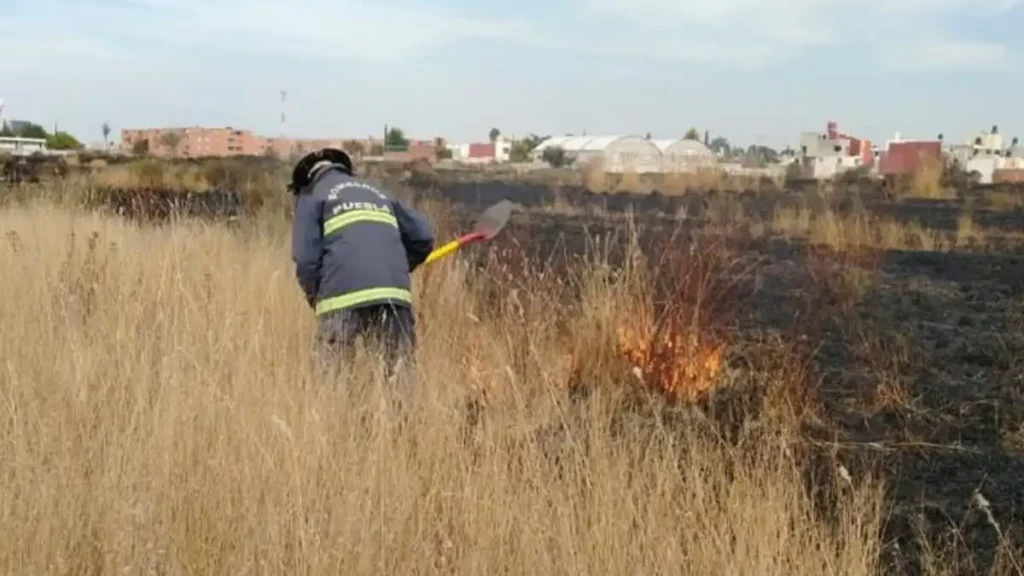 Calidad del aire Puebla se registran 254 incendios de pastizales en lo que va de 2023