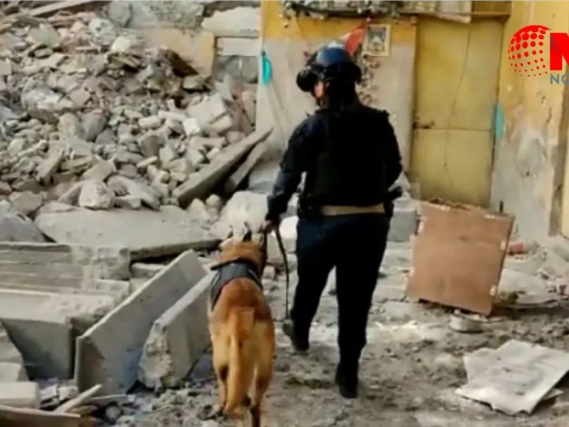 Con perros buscan a posibles víctimas, tras derrumbe de casona en Puebla