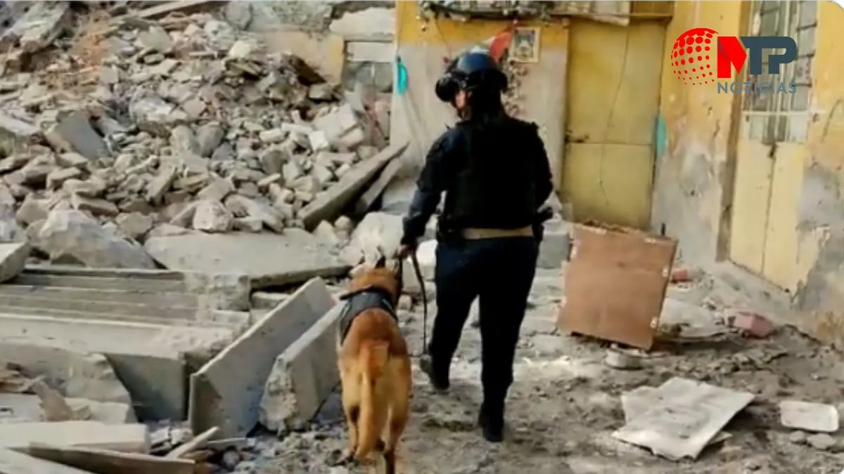Con perros buscan a posibles víctimas, tras derrumbe de casona en Puebla