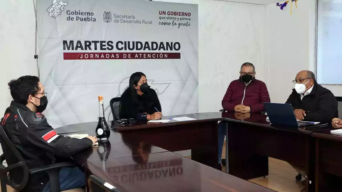 Desarrollo Rural fomenta certificación de mezcal en Puebla