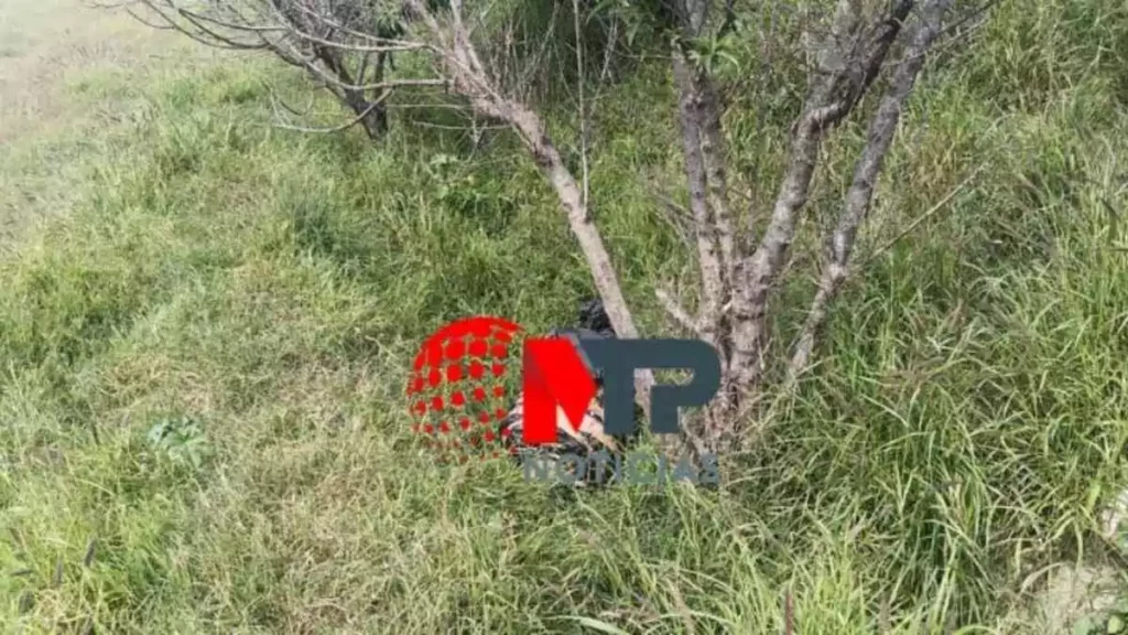 Por una mano que salía de bolsas de basura localizan cadáver en Bosques de Santa Anita