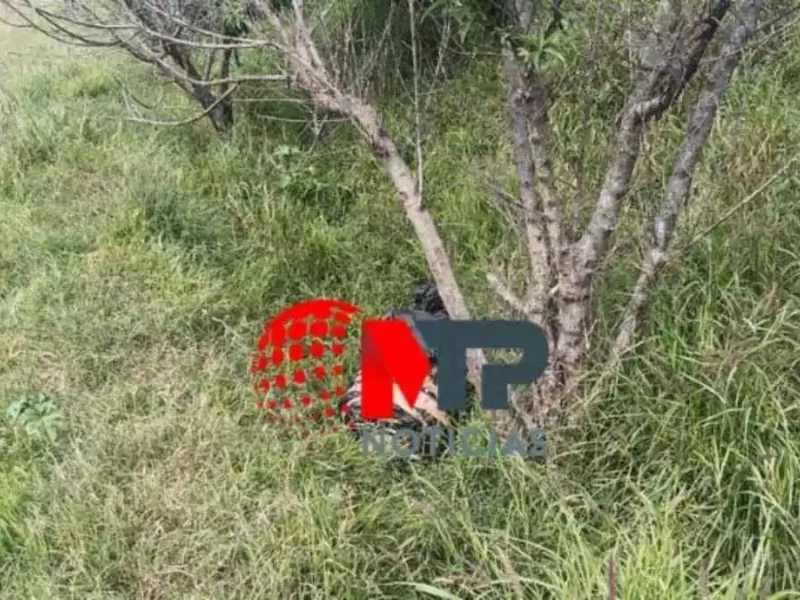 Por una mano que salía de bolsas de basura localizan cadáver en Bosques de Santa Anita