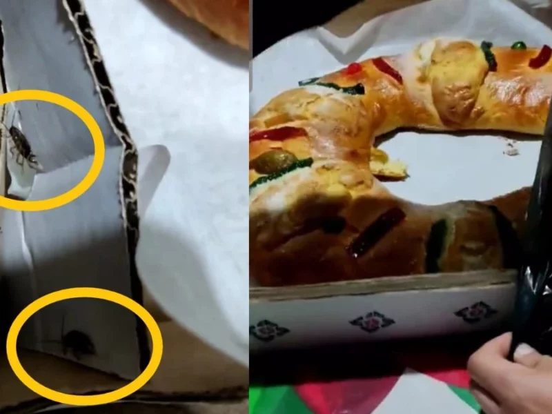 ¡Sorpresa! Cucarachas vivas llevaba rosca de reyes de famosa panadería en Puebla