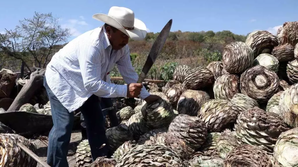 Productor de mezcal poblano