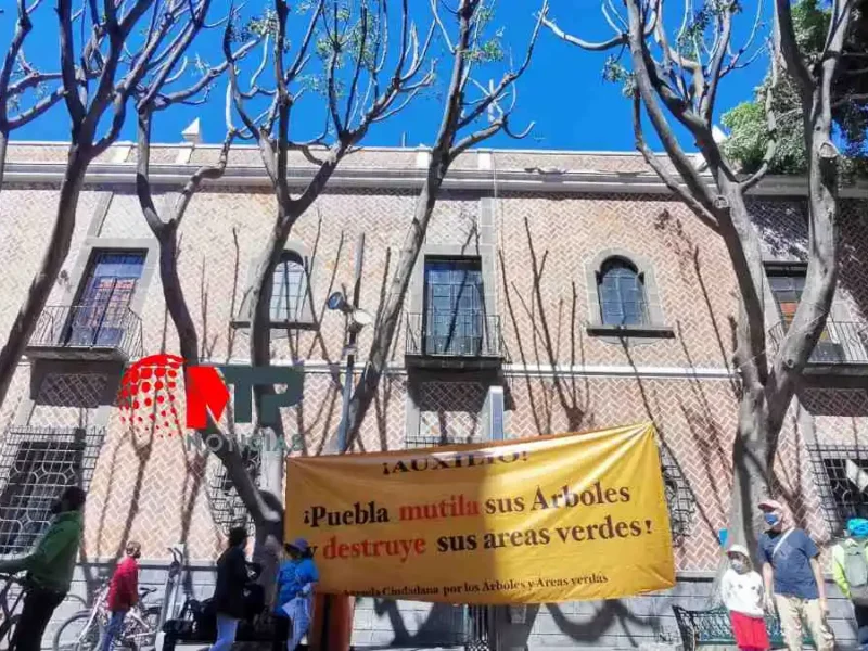Ayuntamiento de Puebla capacitar a trabajadores tras podar mal árboles