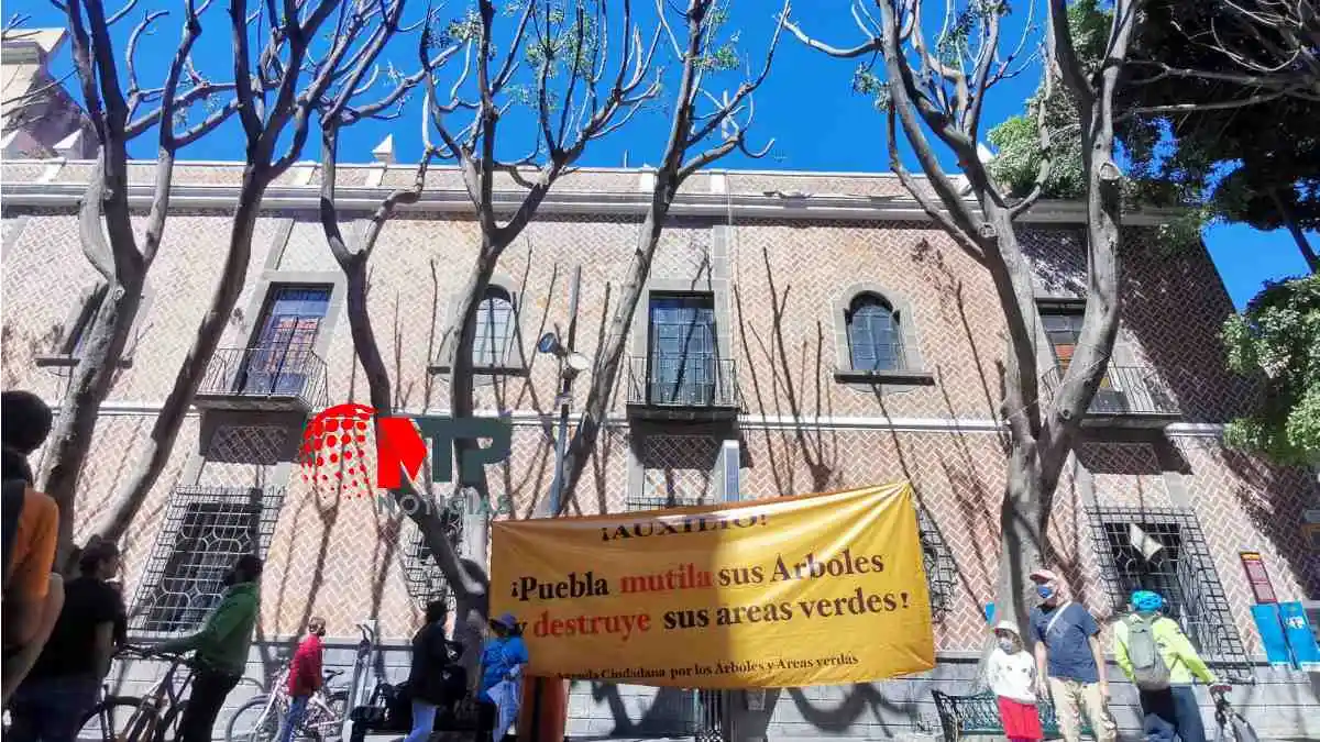 Ayuntamiento de Puebla capacitar a trabajadores tras podar mal árboles