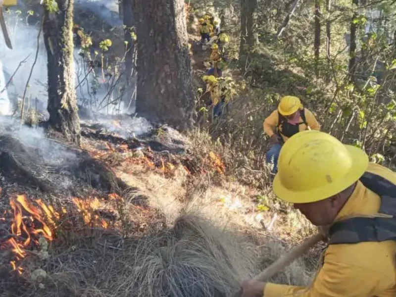 Arde el Pico de Orizaba: fuego consume 80 hectáreas, Sergio Salomón acude a la zona